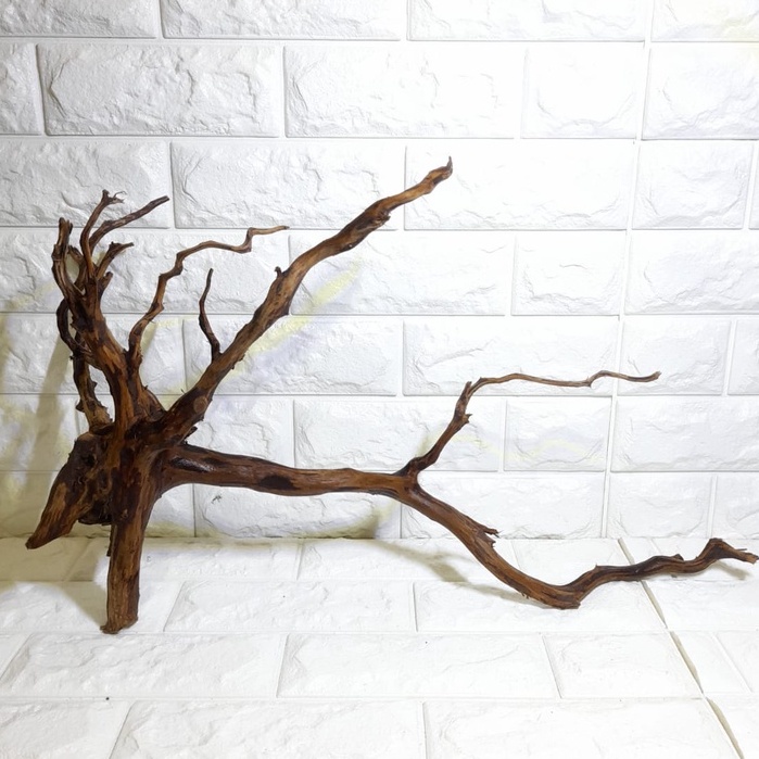 KAYU AKAR RASAMALA SIZE M AQUARIUM AQUASCAPE
