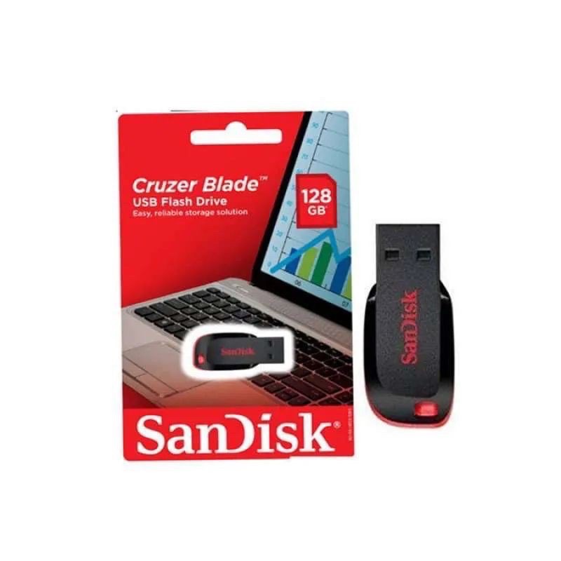 flash disk cruzer blade