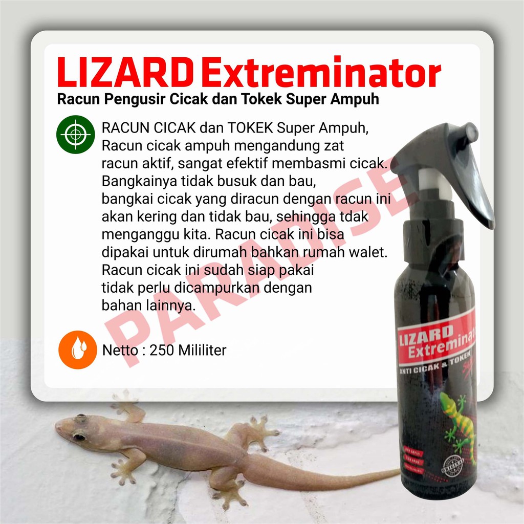 pengusir cicak pembasmi cicak racun cicak dan tokek racun tokek ampuh Racun Pengusir Cicak