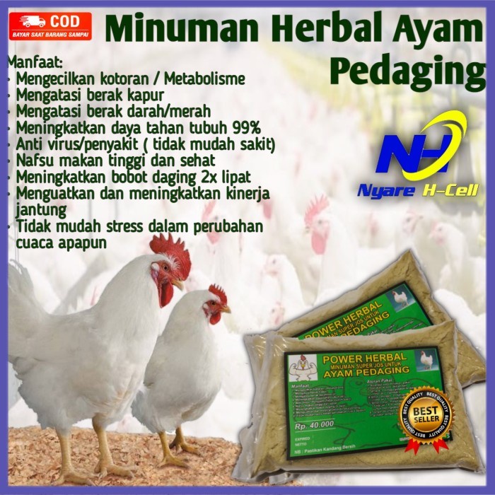 

✔ COD ✔ Jamu Herbal Ayam Pedaging