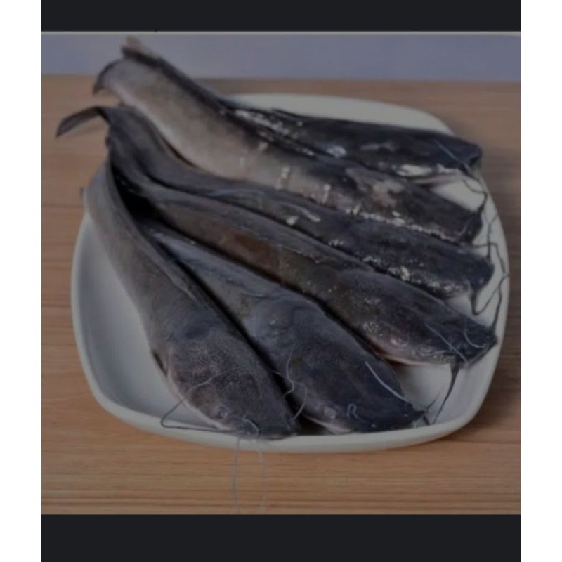 

ikan lele kemasan