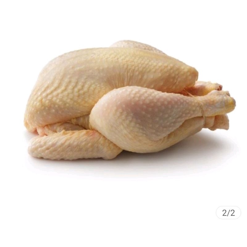 

ayam negri / ekor 1,3~1,5 kg