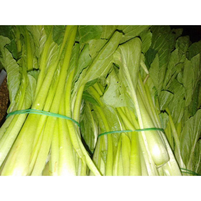 

Sawi ijo (500gr)