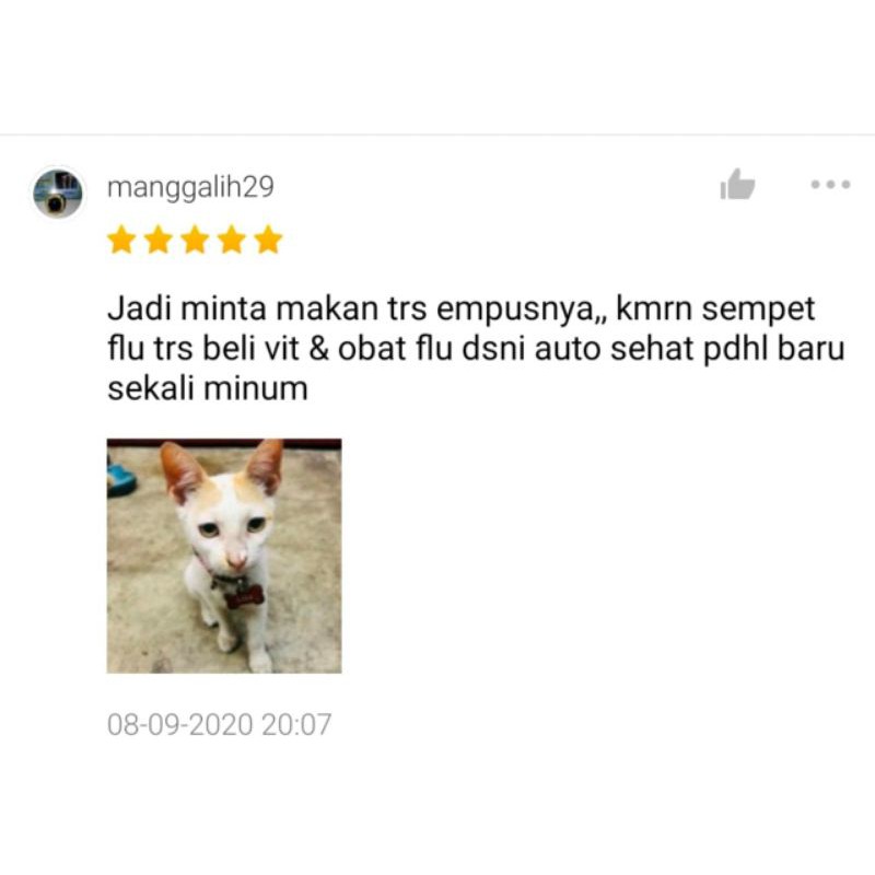 Vitamin Nafsu Makan Kucing Suplemen Bulu Rontok Menyusui Kitten Kucing Hamil uky Amino 30ml