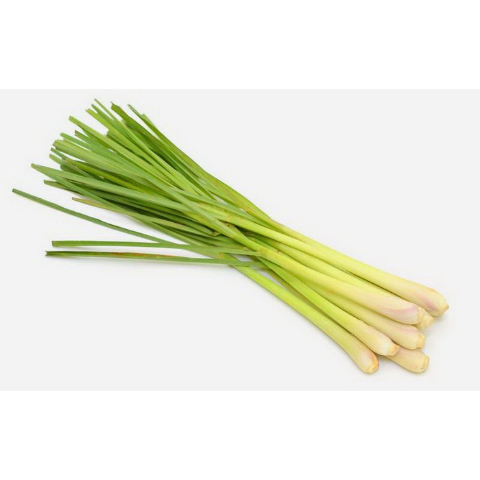 

Daun Serai Daun Sere 100 gr