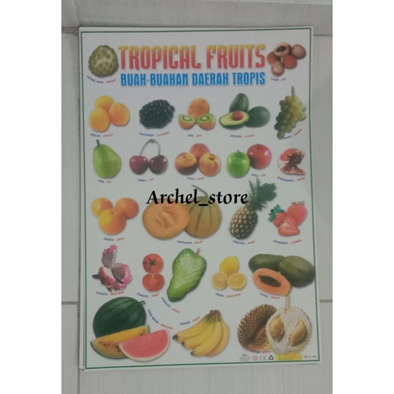 poster / poster dinding / poster buah