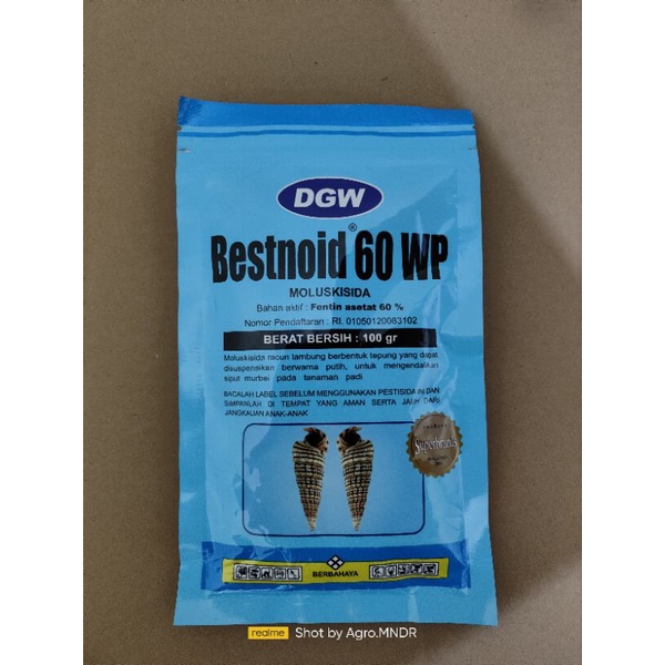 Bestnoid 60WP 100gr
