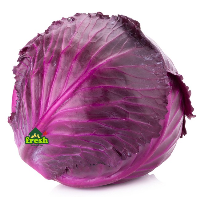 

RED CABBAGE 1 Kilo - Produk KOL KOBIS MERAH best in town