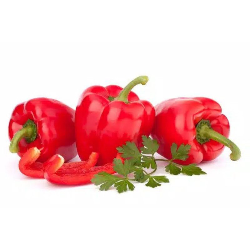 Benih Paprika Merah F1 Red Star - Benih Sayuran Kwalitas Terbaik