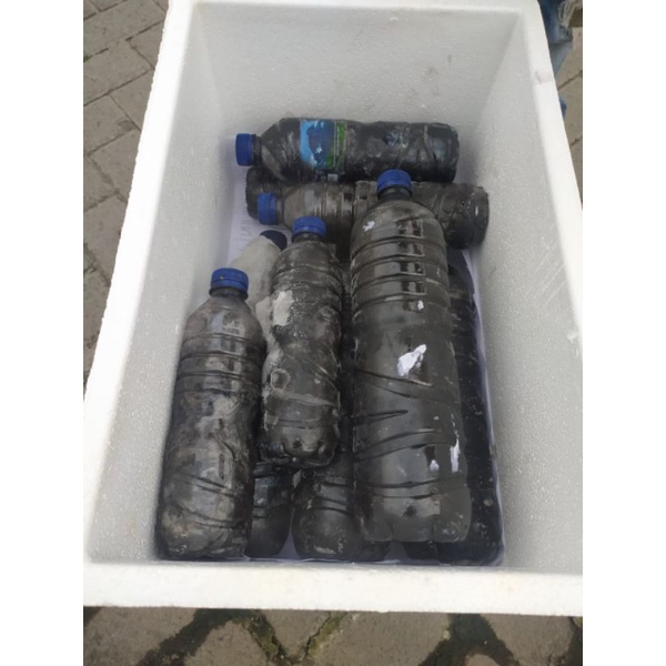 

PEWARNA ALAMI MAKANAN TINTA CUMI