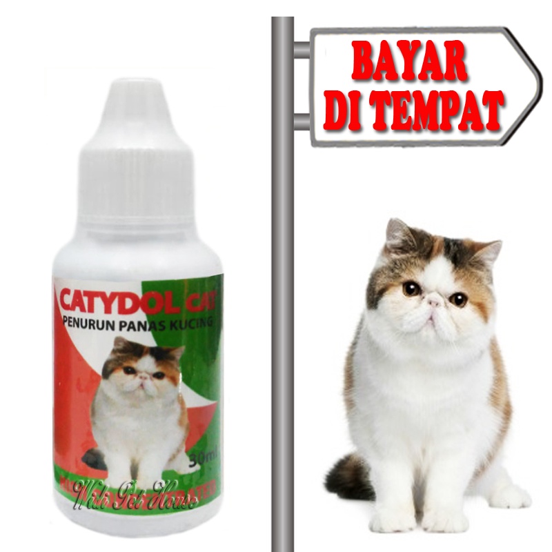 Obat Penurun Panas Demam Kucing Catydol