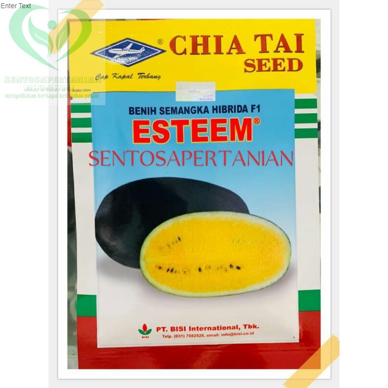 benih semangka inul kuning berbiji ESTEEM 20 gram dari CAP KAPAL TERBANG