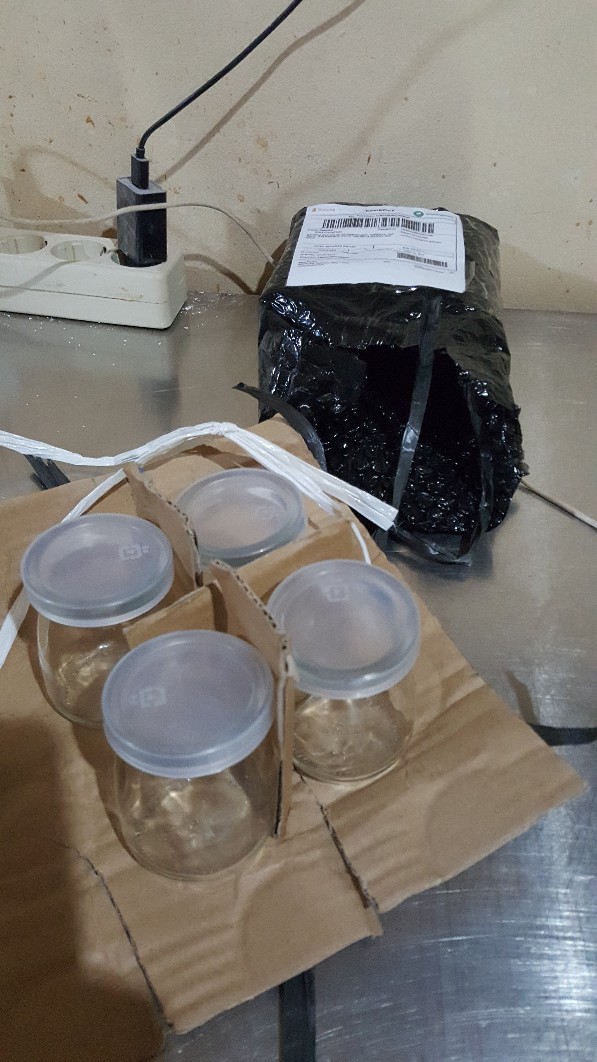 Botol Puding / Botol Kaca 100ml + Tutup