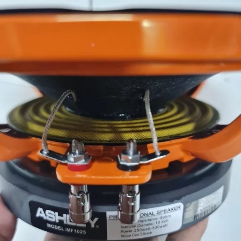 Speaker 10 Inch Ashley MF-1025 Orange