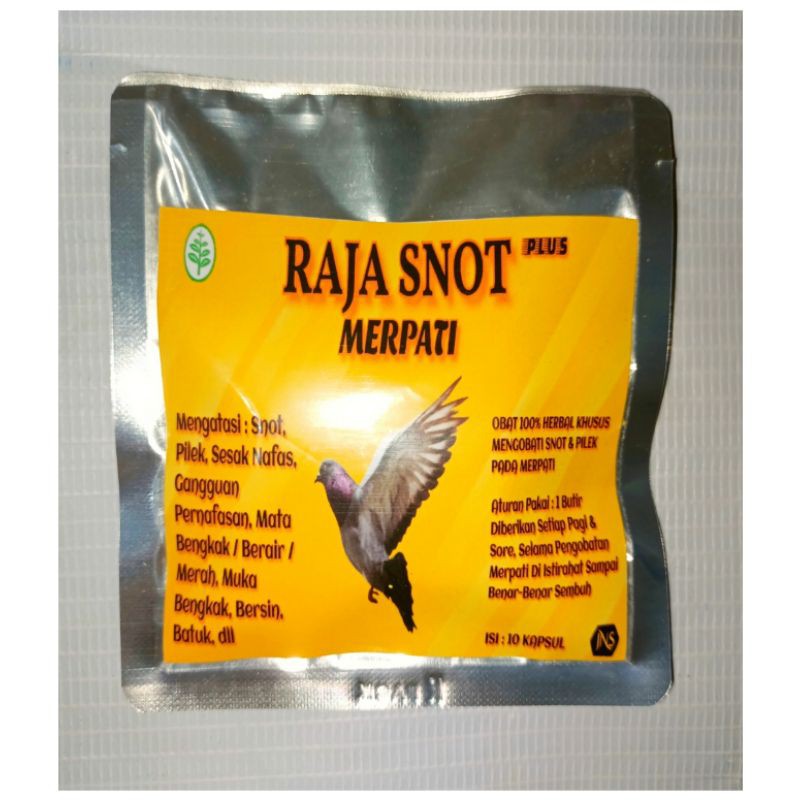 RAJA SNOT PLUS MERPATI HERBAL ISI 10 KAPSUL OBAT SNOT PILEK MERPATI