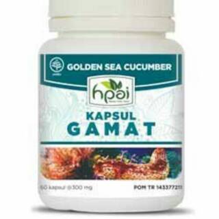 Kapsul Gamat - HNI HPAI | Shopee Indonesia