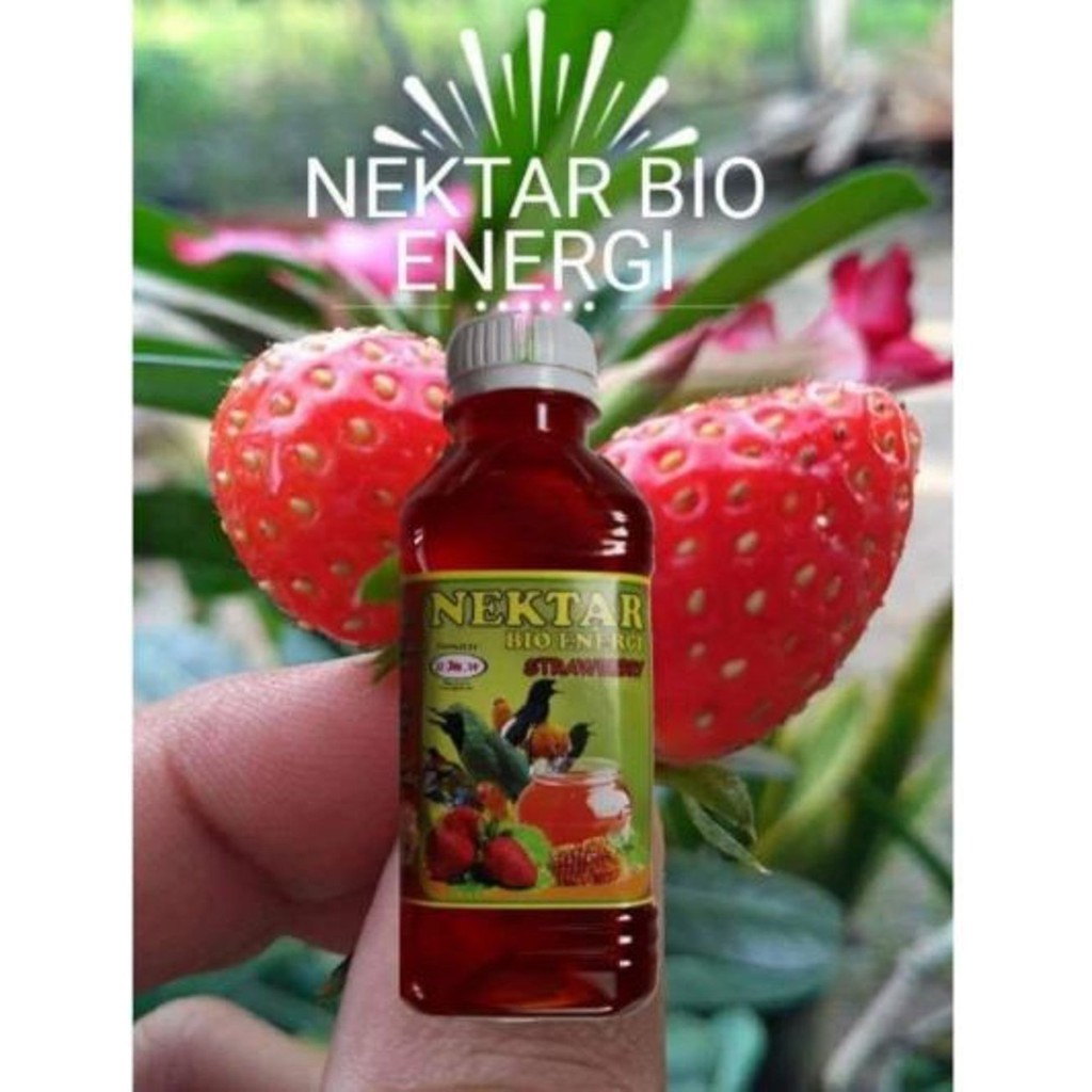 nektar bio energi bmwmasterindonesia untuk burung