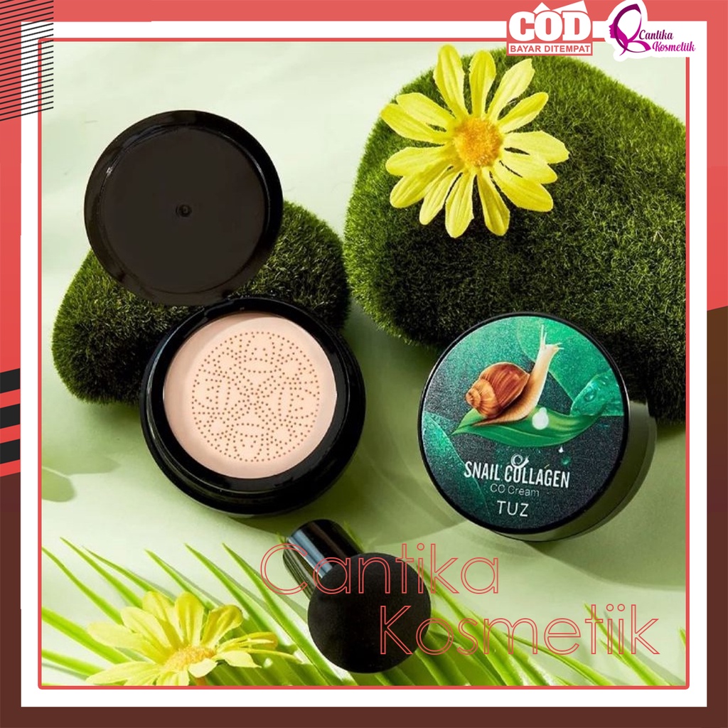 SNAIL COLLAGEN BB CC CREAM CUSHION MAKEUP WAJAH GLOWING