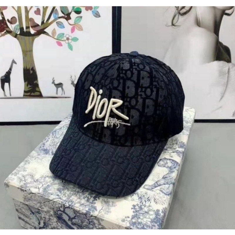 Baseball hat/topi Dior