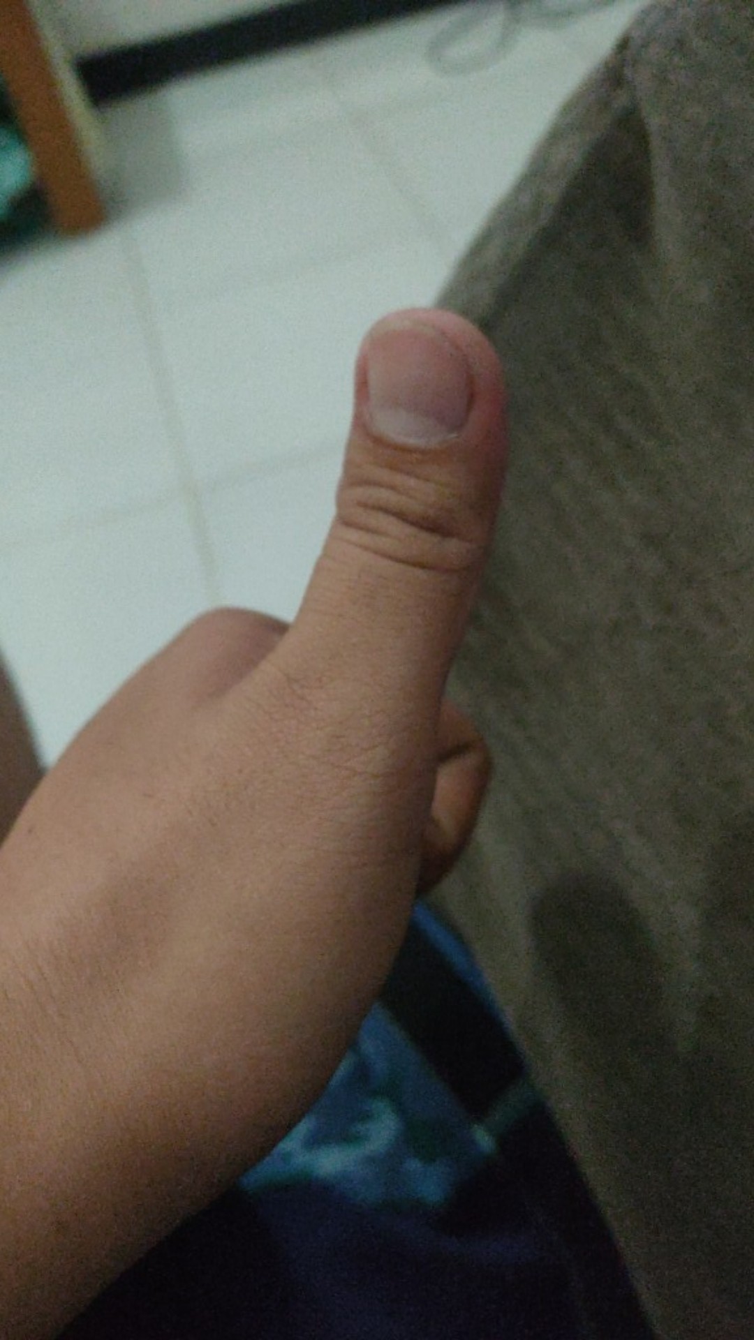 Blaze Topper Cake Birthday / Hiasan Kue Ulang Tahun