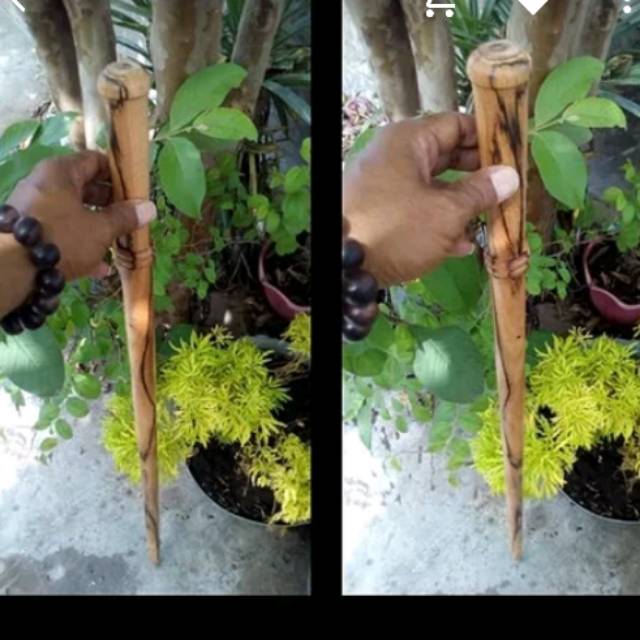 Tongkat jalan bidara