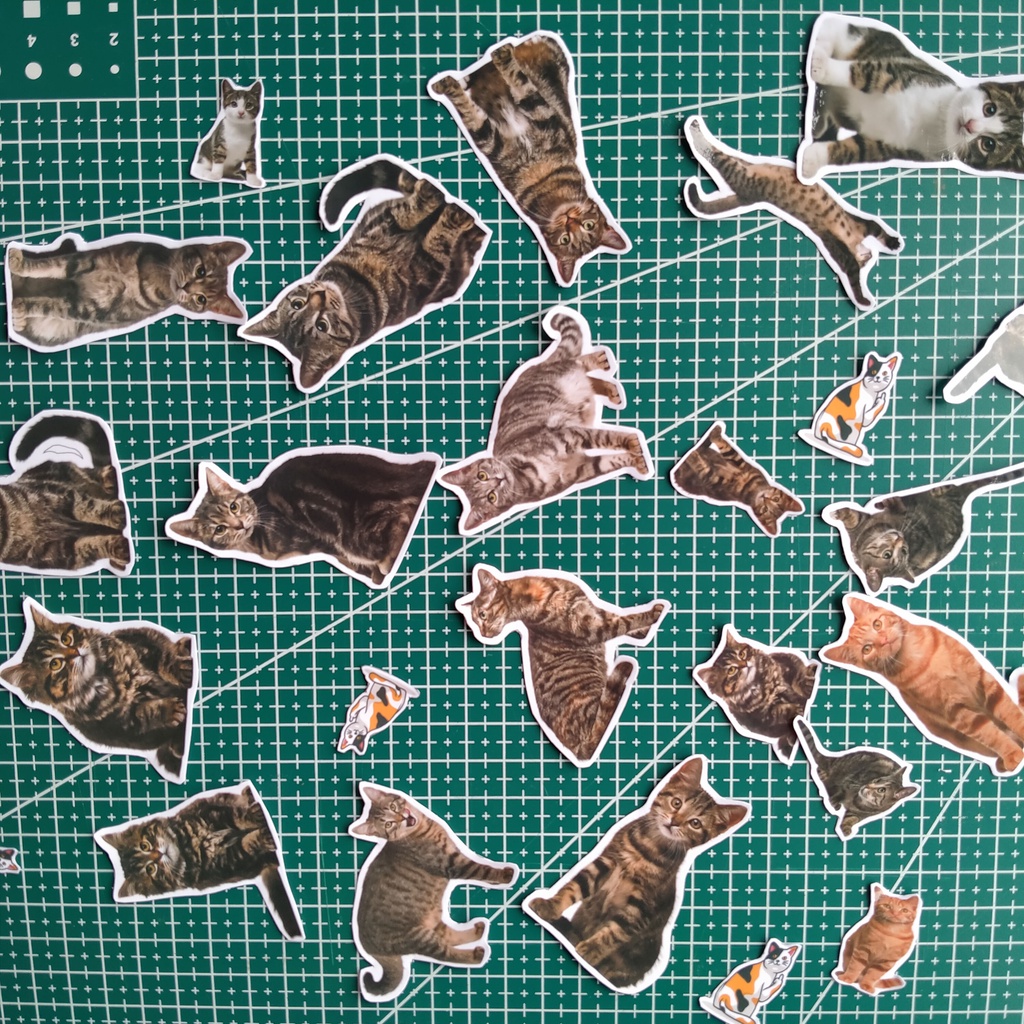 

(30 PCS) Koleksi Stiker Kucing Aesthetic Pack HP, Laptop, Dinding, Motor, Buku, Domestic Cats