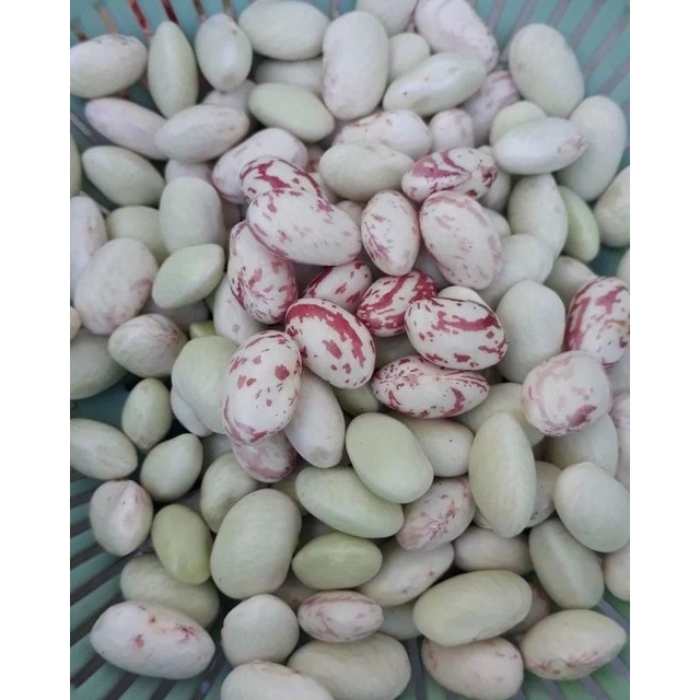 

Kacang Endul Fresh Per 250gr