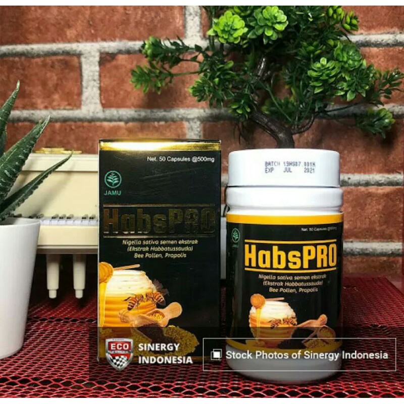 Eco Racing Herbal Habbatussauda Propolis Obat Herbal Memperlancar ASI dan Stamina