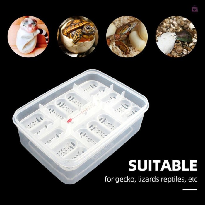 16 Reptile Egg Tray Tempat Telur BD Gecko Snake Incubator Box + Thermo