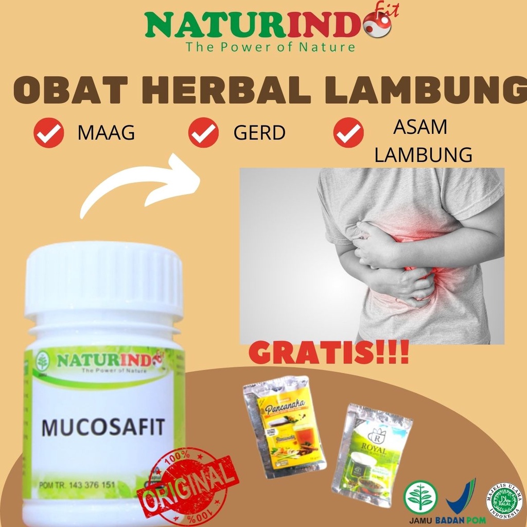 Obat lambung ampuh obat asam lambung kronis obat maag kronis ampuh gerd 100% original bpom mucosafit