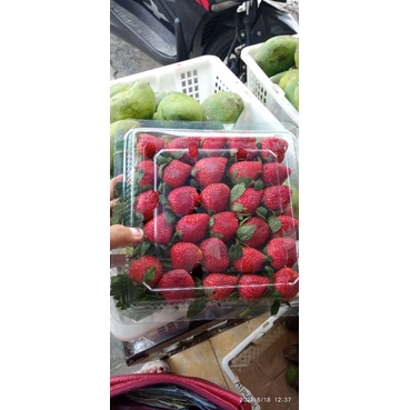 

strawberry jogja 1 kg