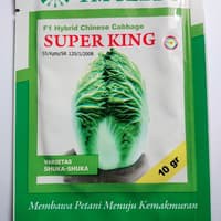 (1 PACK) Benih Sawi Putih SUPER KING Chinese Cabbage F1 Hybrid - TM SEEDS / PT. TANI MURNI INDONESIA - 10 GRAM