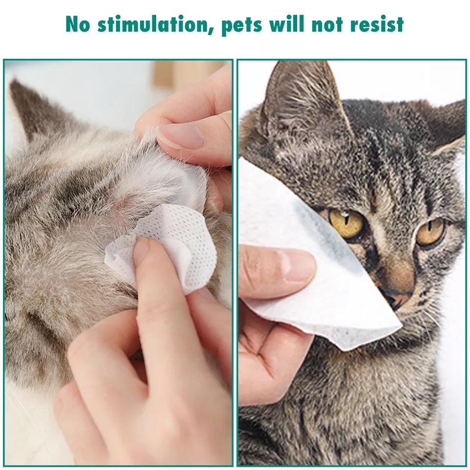 Tisu Basah Pembersih Tear Stain/ Noda Air Mata Anjing Kucing ALOE VERA TEAR STAIN REMOVER TISSUE CAT | Aloe Vera Pet Eye Wipes 150pcs - Tissue Pembersih Mata Anjing Kucing