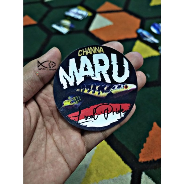 Stiker Channa Marulioides | CHANNA MARU