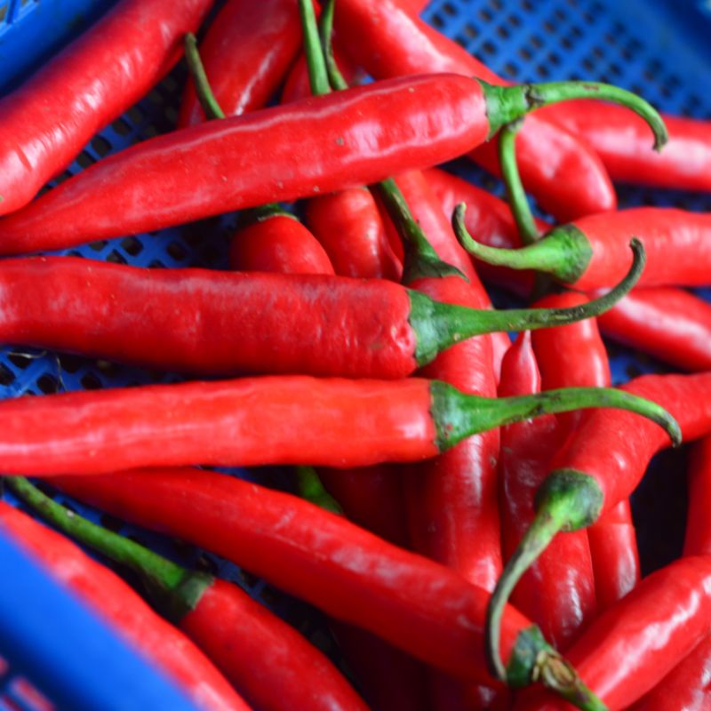 

Cabai / Cabe merah besar 500 Gram