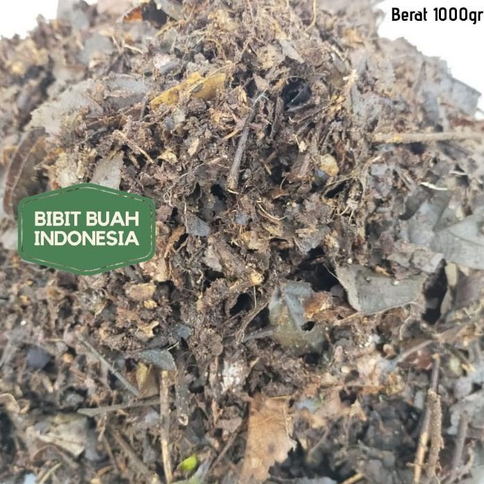 Humus hutan 1kg media tanam terbaik