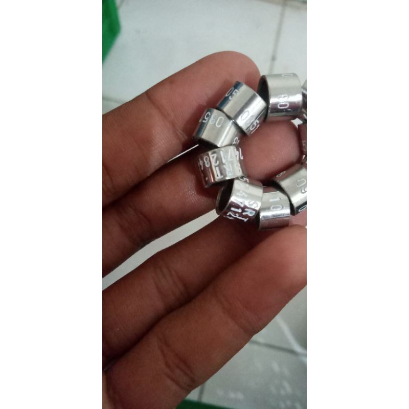 Ring Merpati Baja Ketrok