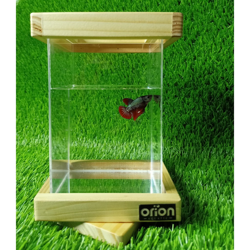 (SIAP KIRIM) Soliter Akrilik Iron Table - SOLITER - SOLITER AKRILIK - SOLITER IKAN CUPANG