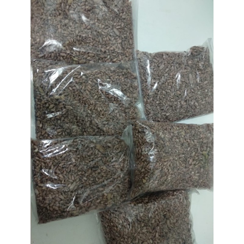 

Cumi-cumi / Sotong 1Kg
