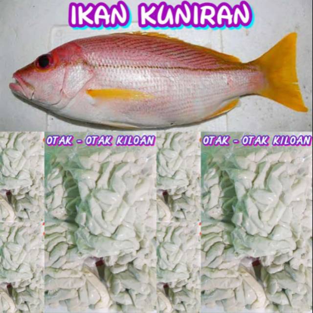 

Otak otak 1kg
