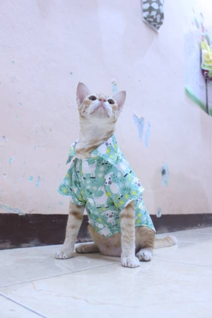 Kemeja hijau motif kambing lucu untuk kucing dan anjing / baju kucing murah size S M L XL