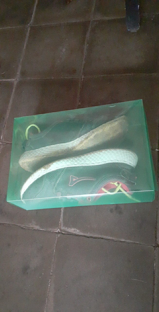Transparant Shoes Box Kotak Sepatu Transparant