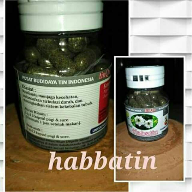 

Habbatin "TinQu