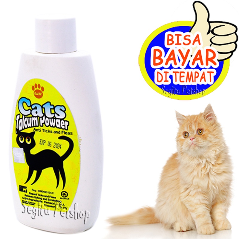 Bedak Kucing Wangi Anti Kutu