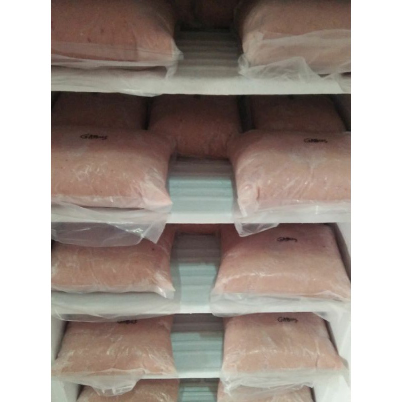 

gabus giling sungai palembang