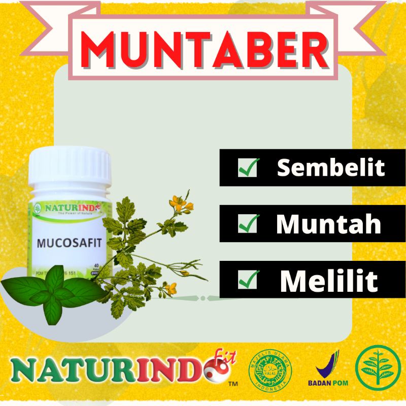 Obat Muntaber Herbal Ampuh Mencret Sembelit Sakit Perut Gangguan Pencernaan