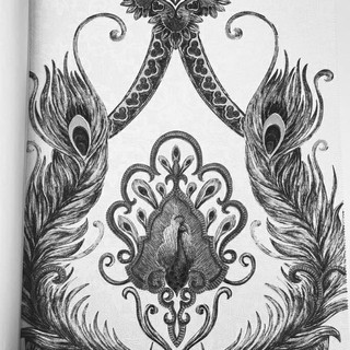 55 Gambar Burung Merak Hitam Putih Terbaik