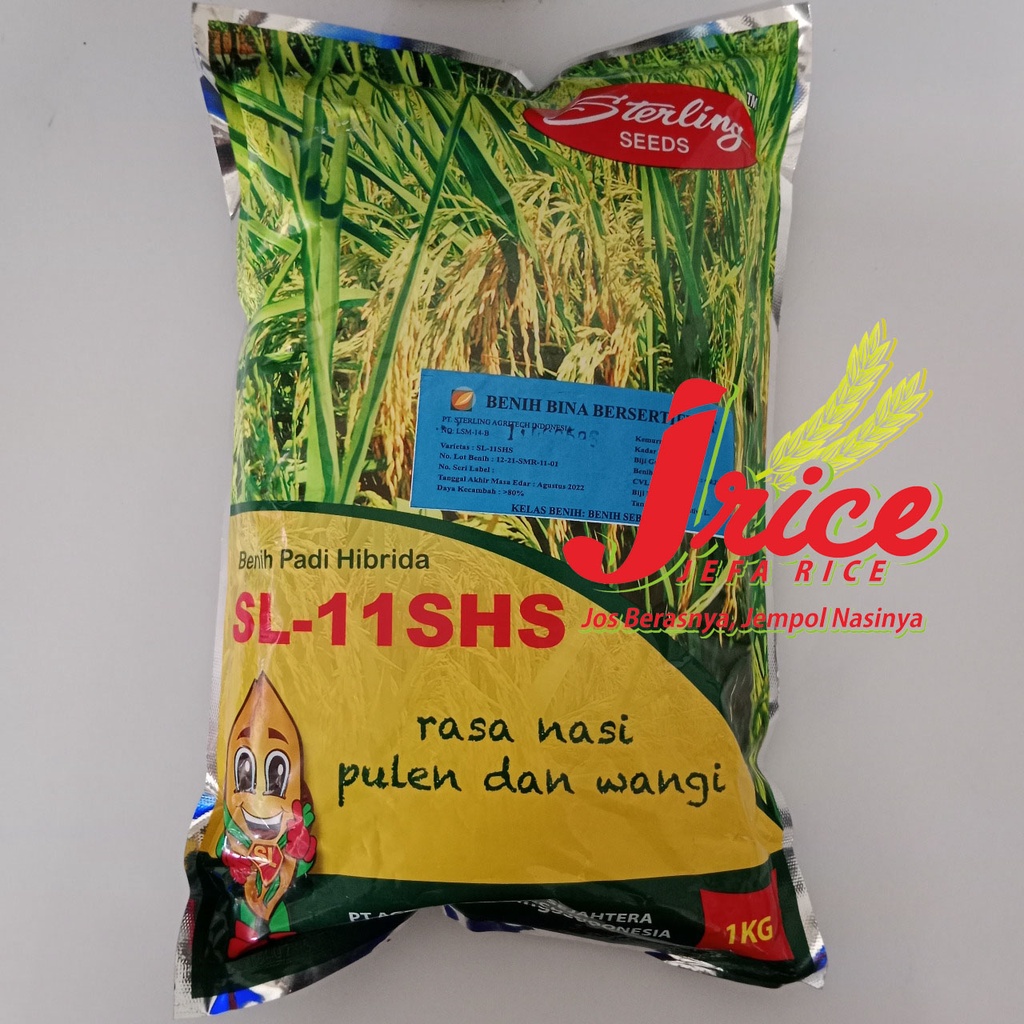 BENIH PADI HIBRIDA SL-11SHS KEMASAN 1 KG