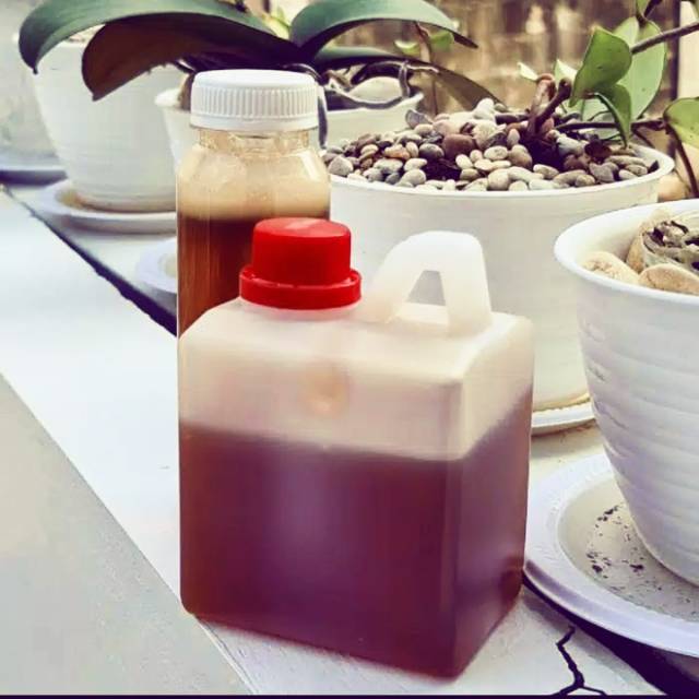 

Madu murni