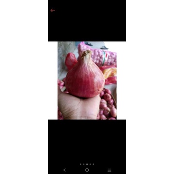 

Bawang merah India murah 1kg